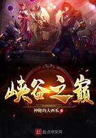 峡谷之巅能组队吗
