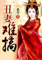 丑妻难搞讲什么