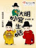 大明小官人txt
