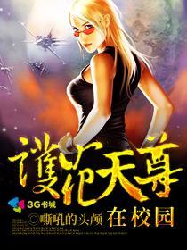 护花天王最新章节列表