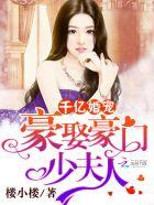 千亿婚宠豪娶豪门少夫人免费阅读全