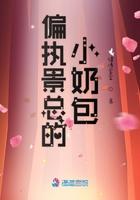 薄先生的宠妻日常
