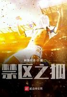 我真没想当训练家啊主角精灵