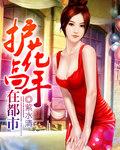 护花高手在都市听书