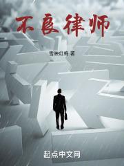 不良律师全文阅读