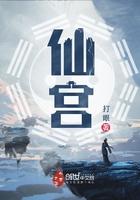 仙宫是天才相师续集吗