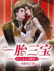 一胎三宝夫人又帅炸了全文免费阅读