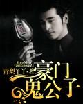 豪门公子是什么意思