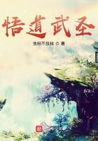 悟道最强流派