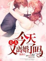 夫人今天又要离婚吗