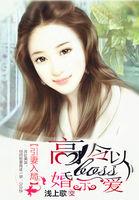 引妻入怀腹黑总裁花式宠免费阅读