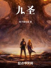 九圣禾257玉米种子简介