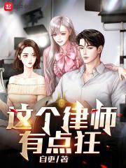 这样的律师