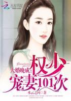 婚宠之2权少独占权睿阅读