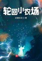 轮回小农场 红糖水饺 txt