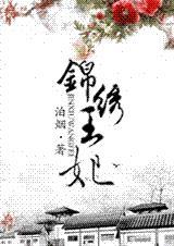 锦绣王妃 泊烟