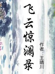 飞云惊澜录txt