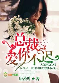 总裁你爱我吗