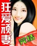 顽劣狂妻之妃要出逃全文免费阅读