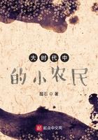 大时代下小农民