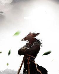 将恶少养成忠犬繁樱落雨