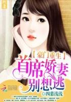 豪门重生财阀娇妻帅