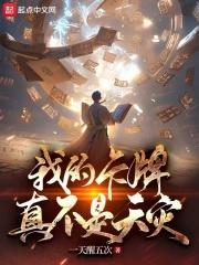 我的卡牌哪去了