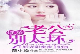 饿狼老公轻点宠