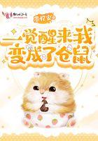 一觉醒来我发现自己变成了一只可爱的猫