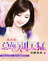 一夜贪欢总裁别太猛是什么