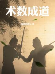成于术数