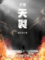电视剧夜子天
