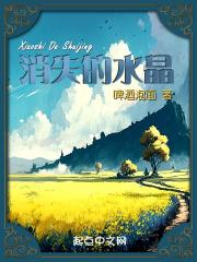 消失的水晶鞋改写