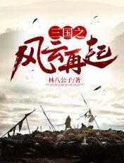 三国之风云再起攻略