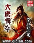 大唐悍将