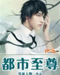 都市至尊豪婿