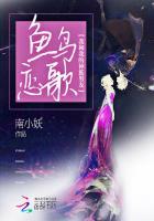鸟与鱼相爱是一首什么歌
