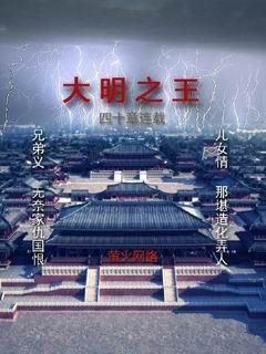 大明之最强