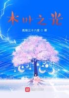 木叶之光笔趣阁