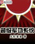 超级军功系统 大肚果果