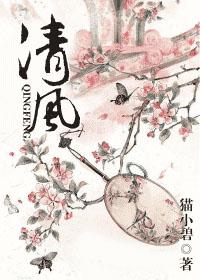 清风清穿 一千章以上