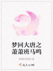 梦回大唐梦