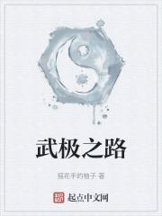 武极攻略