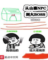 从山寨NPC到大Boss