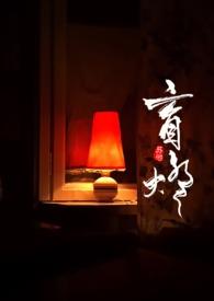 盲灯简介