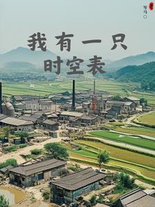 我在80年代当村长