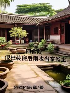 四合院娶何雨水
