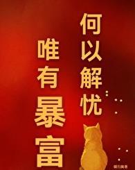 何以解忧唯有暴富 缓归矣