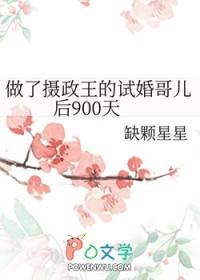 做了摄政王的试婚哥儿后900天 缺颗星星 笔趣阁