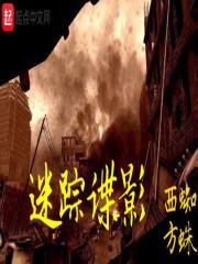 迷踪谍影全文阅读